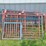 (7)-walk-through-front-livestock-gates---tag-#342-image-1