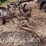 john-deere-614-image-1