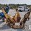 tree-spade-image-2