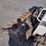 2020-bobcat-t590-image-18
