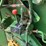 john-deere-535-image-30