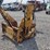 tree-spade-image-5