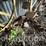 52"-john-deere-rear-skeleton-steel-wheels-w/-some-lugs-image-4