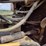 deere-544kii-image-18