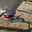 brock-feed-bin-image-5