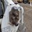 2012-bobcat-s650-image-15