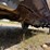 2004-ford-f250-image-21