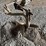 1btm-mark-out-plow-image-4