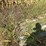 irrigation-stationary,-and-big-gun-p-200-gun-and-12-30’-hook-and-latch-pipe-image-15