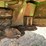 john-deere-635-image-32
