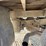 1997-ford-f-super-duty-image-21