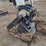2023-bobcat-e42-image-17