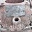 cushman-hit-&-miss-engine-(sn#-15852)-image-2