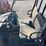 polaris-ranger-image-8