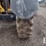 2013-caterpillar-tl642c-image-23
