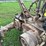 john-deere-b-image-27