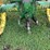 john-deere-a-image-12