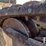 2020-bobcat-t590-image-25