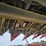 2013-case-ih-2206-image-19