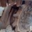2020-bobcat-t595-image-22