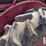 farmall-140-tractor-w/cultivators-5760-image-17