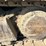 caterpillar-385bl-image-9