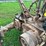 john-deere-b-image-6
