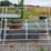 (10)-10'-corral-gates-&-(2)-10'-framed-bow-gates-image-2