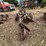 john-deere-2btm-pull-type-plow---15"---on-full-steel-image-3