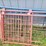 (7)-walk-through-front-livestock-gates---tag-#342-image-5