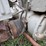 fordson-f-image-17