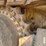 2004-komatsu-d65ex-15-image-32