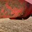 kuhn-knight-8124-image-16