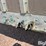 2002-wilson-livestock-trailer-image-11