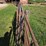(3)16'-corral-gates-image-5