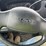2005-ford-f250-sd-image-25