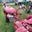 farmall-b-(sn#--37451)-image-9