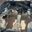 2006-kenworth-w900l-image-8