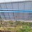 (7)-walk-through-front-livestock-gates---tag-#342-image-11