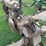 john-deere-b-image-23