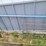 (7)-walk-through-front-livestock-gates---tag-#342-image-12