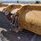 deere-544kii-image-35