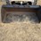 bobcat-743b-image-15