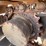 2016-sany-sy215c-lc-image-9