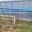 (7)-walk-through-front-livestock-gates---tag-#342-image-9