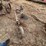 john-deere-mt-image-4