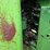 john-deere-8630-image-22