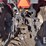 massey-ferguson-4607m-image-25