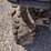2011-john-deere-gator-xuv-825i-image-13