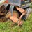 ditch-witch-1230-image-6
